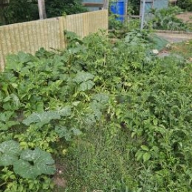 Ansicht 2026-07-08 17.41.